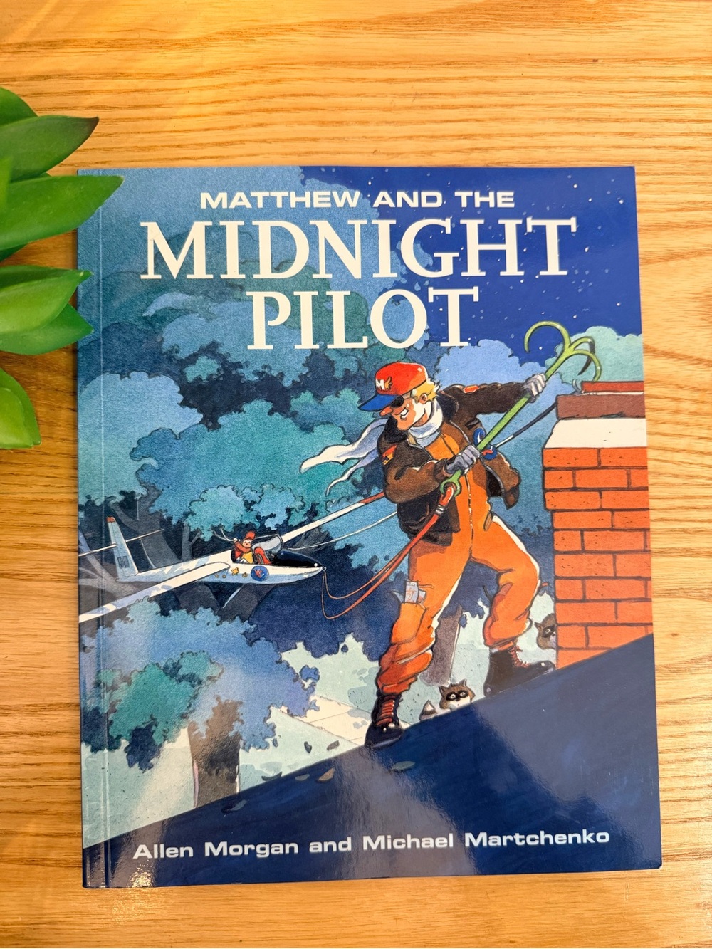 💫10/$25 • Matthew & The Midnight Pilot Paperback